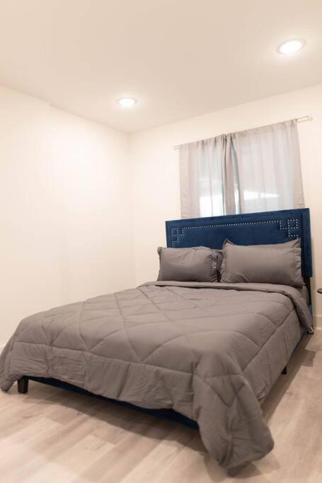 Platinum Palace 1Br 1Ba - Central Dallas Stay Exteriör bild